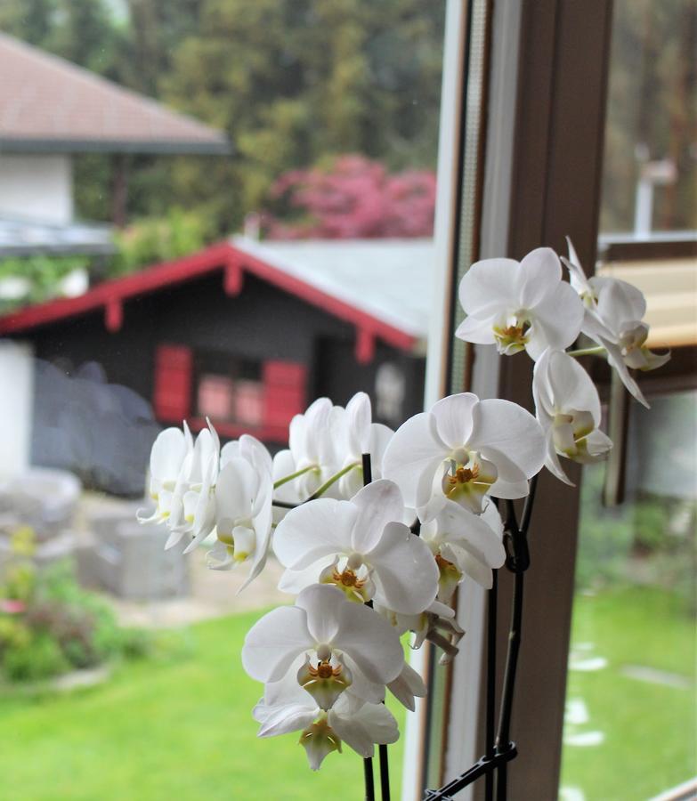 Gaestehaus Schmid Hotel Оберщауфен Екстериор снимка
